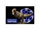 Фреза алмазная DGS-W 125/22.23-7 Raptor (DiStar) по бетону